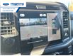 2025 Ford F-150 XLT (Stk: SKF23542) in Wallaceburg - Image 17 of 25