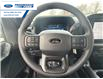2025 Ford F-150 STX (Stk: SKF32094) in Wallaceburg - Image 14 of 24