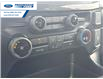 2025 Ford F-150 STX (Stk: SKF32094) in Wallaceburg - Image 18 of 24