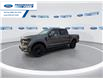 2025 Ford F-150 XLT (Stk: SFB31747) in Wallaceburg - Image 4 of 25