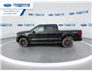 2025 Ford F-150 XLT (Stk: SKE83110) in Wallaceburg - Image 5 of 25