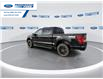2025 Ford F-150 XLT (Stk: SKE83110) in Wallaceburg - Image 6 of 25