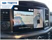 2025 Ford F-150 XLT (Stk: SFB31747) in Wallaceburg - Image 17 of 25