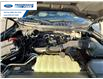 2025 Ford F-150 XLT (Stk: SFB31747) in Wallaceburg - Image 25 of 25