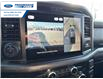 2025 Ford F-150 XLT (Stk: SFB48551) in Wallaceburg - Image 17 of 25