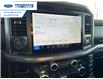 2025 Ford F-150 XLT (Stk: SKD95219) in Wallaceburg - Image 16 of 26