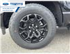 2025 Ford F-150 XLT (Stk: SFB79791) in Wallaceburg - Image 10 of 25