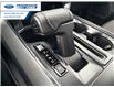 2025 Ford F-150 XLT (Stk: SFB79791) in Wallaceburg - Image 20 of 25