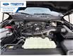 2025 Ford F-150 XLT (Stk: SFB79791) in Wallaceburg - Image 25 of 25
