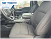 2025 Ford F-150 XLT (Stk: SKE83110) in Wallaceburg - Image 11 of 25