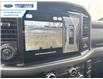 2025 Ford F-150 XLT (Stk: SKE83110) in Wallaceburg - Image 17 of 25