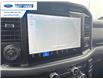 2025 Ford F-150 XLT (Stk: SKE83110) in Wallaceburg - Image 18 of 25