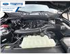 2025 Ford F-150 XLT (Stk: SKE83110) in Wallaceburg - Image 25 of 25