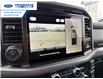2025 Ford F-150 XLT (Stk: SKF08213) in Wallaceburg - Image 17 of 25