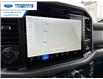 2025 Ford F-150 XLT (Stk: SKF08213) in Wallaceburg - Image 18 of 25