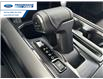 2025 Ford F-150 XLT (Stk: SKF08213) in Wallaceburg - Image 20 of 25