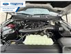 2025 Ford F-150 XLT (Stk: SKF08213) in Wallaceburg - Image 25 of 25