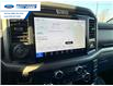 2025 Ford F-150 XLT (Stk: SKF27903) in Wallaceburg - Image 16 of 25