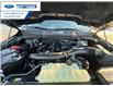 2025 Ford F-150 XLT (Stk: SKF27903) in Wallaceburg - Image 25 of 25