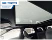 2026 Ford Explorer ST (Stk: TGA82641) in Wallaceburg - Image 22 of 27