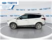 2019 Ford Escape SEL (Stk: KUC16918T) in Wallaceburg - Image 5 of 23