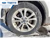 2019 Ford Escape SEL (Stk: KUC16918T) in Wallaceburg - Image 10 of 23