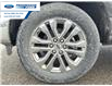 2026 Ford F-150 Lariat (Stk: TFA12080) in Wallaceburg - Image 10 of 24