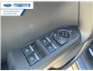 2026 Ford Bronco Sport Big Bend (Stk: TRE10438) in Wallaceburg - Image 13 of 24