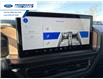 2026 Ford Bronco Sport Outer Banks (Stk: TRE10325) in Wallaceburg - Image 19 of 25