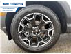 2026 Ford Bronco Sport Outer Banks (Stk: TRE09853) in Wallaceburg - Image 10 of 26