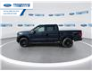 2026 Ford F-150 XLT (Stk: TFA49450) in Wallaceburg - Image 5 of 25