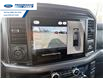 2026 Ford F-150 XLT (Stk: TFA49450) in Wallaceburg - Image 17 of 25