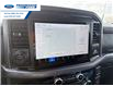 2026 Ford F-150 XLT (Stk: TFA49450) in Wallaceburg - Image 18 of 25