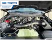 2026 Ford F-150 XLT (Stk: TFA49450) in Wallaceburg - Image 25 of 25
