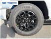 2026 Ford F-150 XLT (Stk: TKD54951) in Wallaceburg - Image 10 of 24