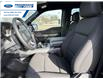 2026 Ford F-150 XLT (Stk: TKD54951) in Wallaceburg - Image 11 of 24