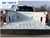 2026 Ford F-150 XLT (Stk: TKD54951) in Wallaceburg - Image 22 of 24