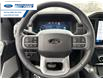 2026 Ford F-150 Lariat (Stk: TFA43738) in Wallaceburg - Image 14 of 26