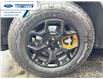 2026 Ford Explorer Tremor (Stk: TGB02691) in Wallaceburg - Image 10 of 27