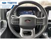 2026 Ford F-150 XLT (Stk: TKD60414) in Wallaceburg - Image 14 of 24