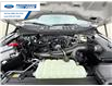 2026 Ford F-150 XLT (Stk: TKD60414) in Wallaceburg - Image 24 of 24