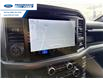 2026 Ford F-150 XLT (Stk: TKD40305) in Wallaceburg - Image 18 of 25