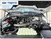 2026 Ford F-150 XLT (Stk: TKD40305) in Wallaceburg - Image 25 of 25
