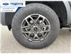 2025 Ford Ranger XLT (Stk: SLE31295T) in Wallaceburg - Image 10 of 25