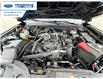 2025 Ford Ranger XLT (Stk: SLE31295T) in Wallaceburg - Image 25 of 25