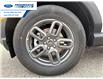 2026 Ford Bronco Sport Big Bend (Stk: TRE36018) in Wallaceburg - Image 10 of 24