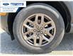 2026 Ford Bronco Sport Big Bend (Stk: TRE39267) in Wallaceburg - Image 10 of 24