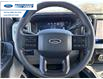 2026 Ford F-250 XLT (Stk: TEE27069) in Wallaceburg - Image 14 of 25