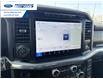 2024 Ford F-150 Lariat (Stk: RFA36598L) in Wallaceburg - Image 16 of 25