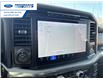 2024 Ford F-150 Lariat (Stk: RFA36598L) in Wallaceburg - Image 18 of 25
